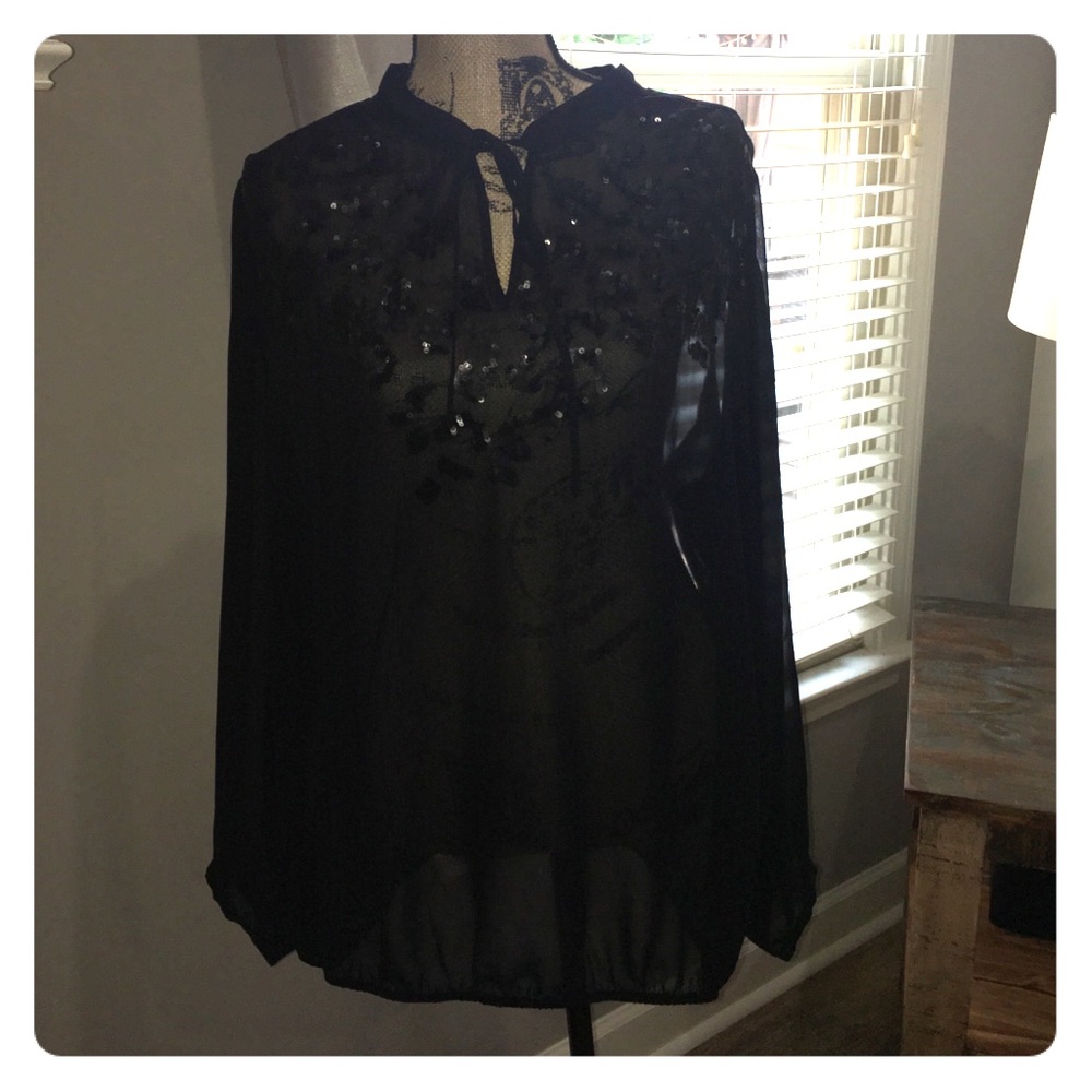 Beautiful sheer blouse
